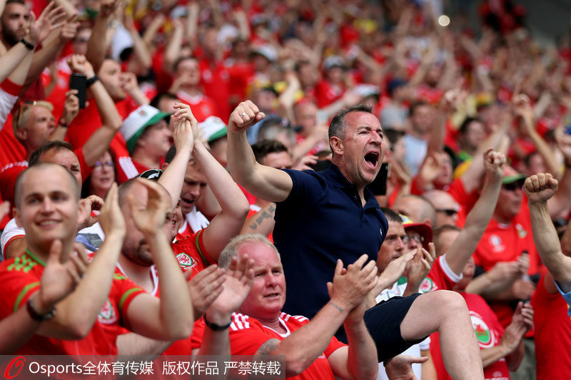 威尔士大胜斯洛伐克，欧锦赛资格还有希望的简单介绍