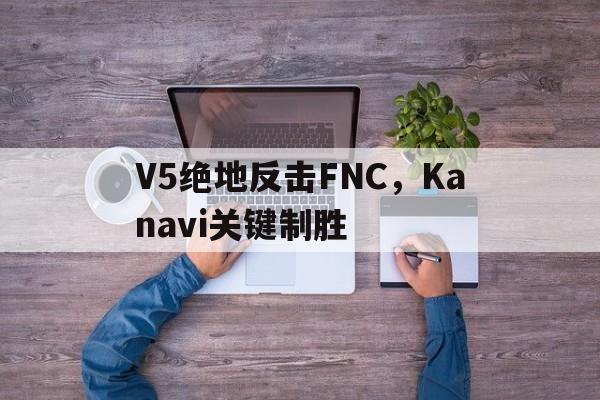 开云体育中国-V5绝地反击FNC，Kanavi关键制胜的简单介绍