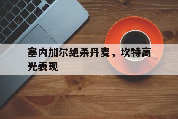 开云体育平台APP-塞内加尔绝杀丹麦，坎特高光表现的简单介绍