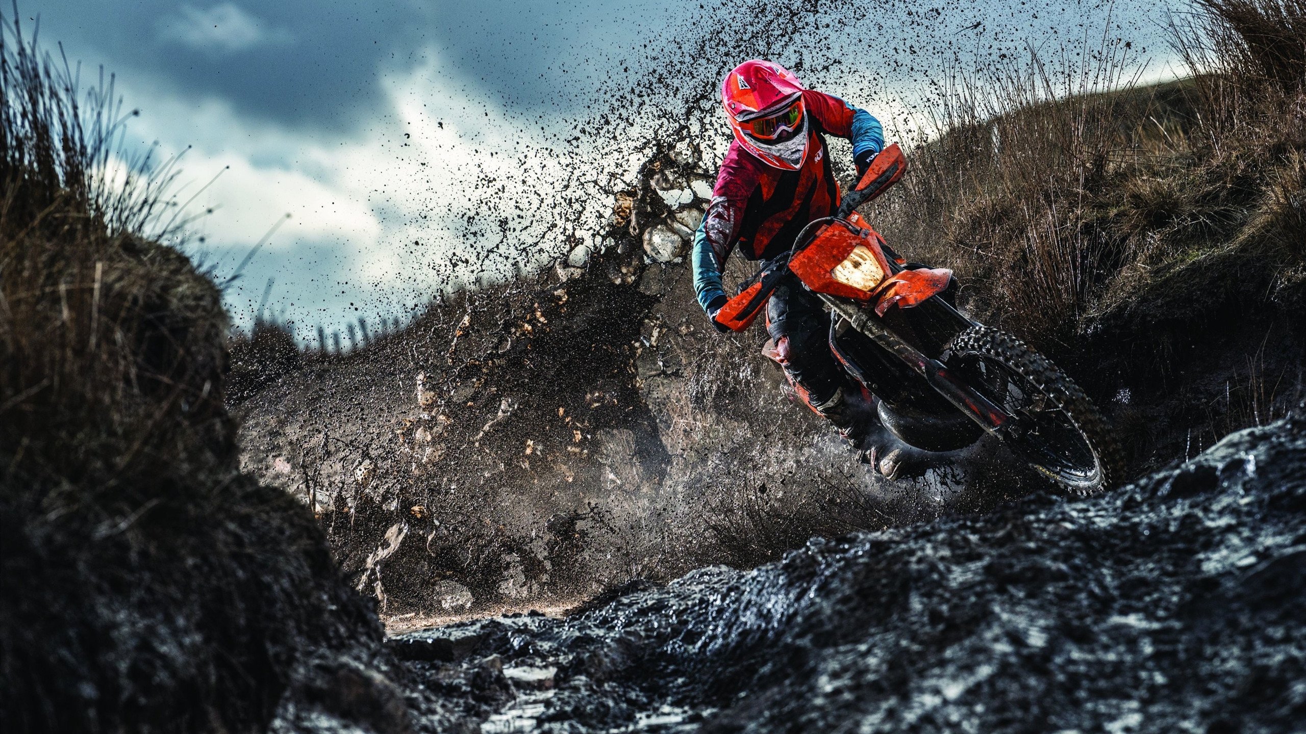 武切维奇关键制胜，森林狼力克吉林队